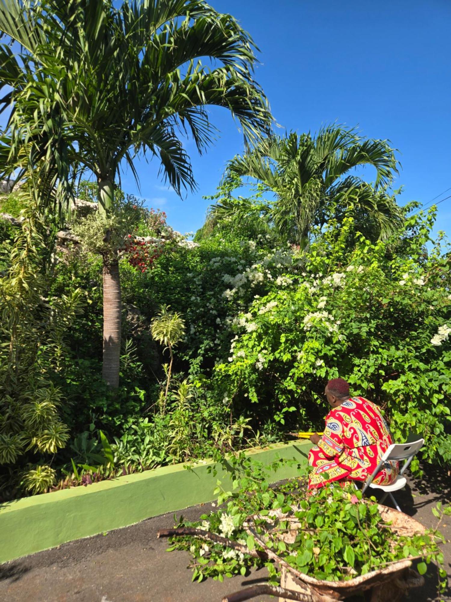 Eve'S Rockaway Villa Alligator Pond Exterior photo