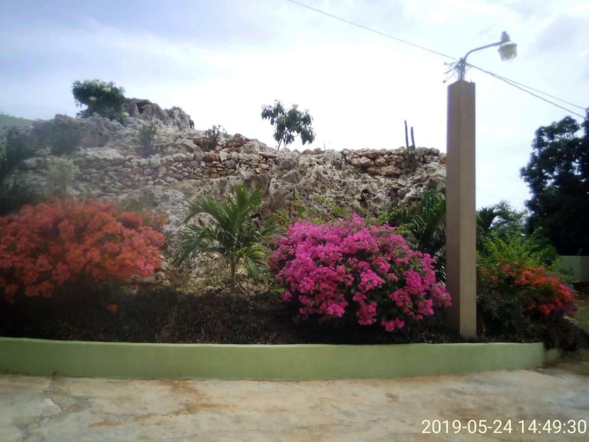 Eve'S Rockaway Villa Alligator Pond Exterior photo