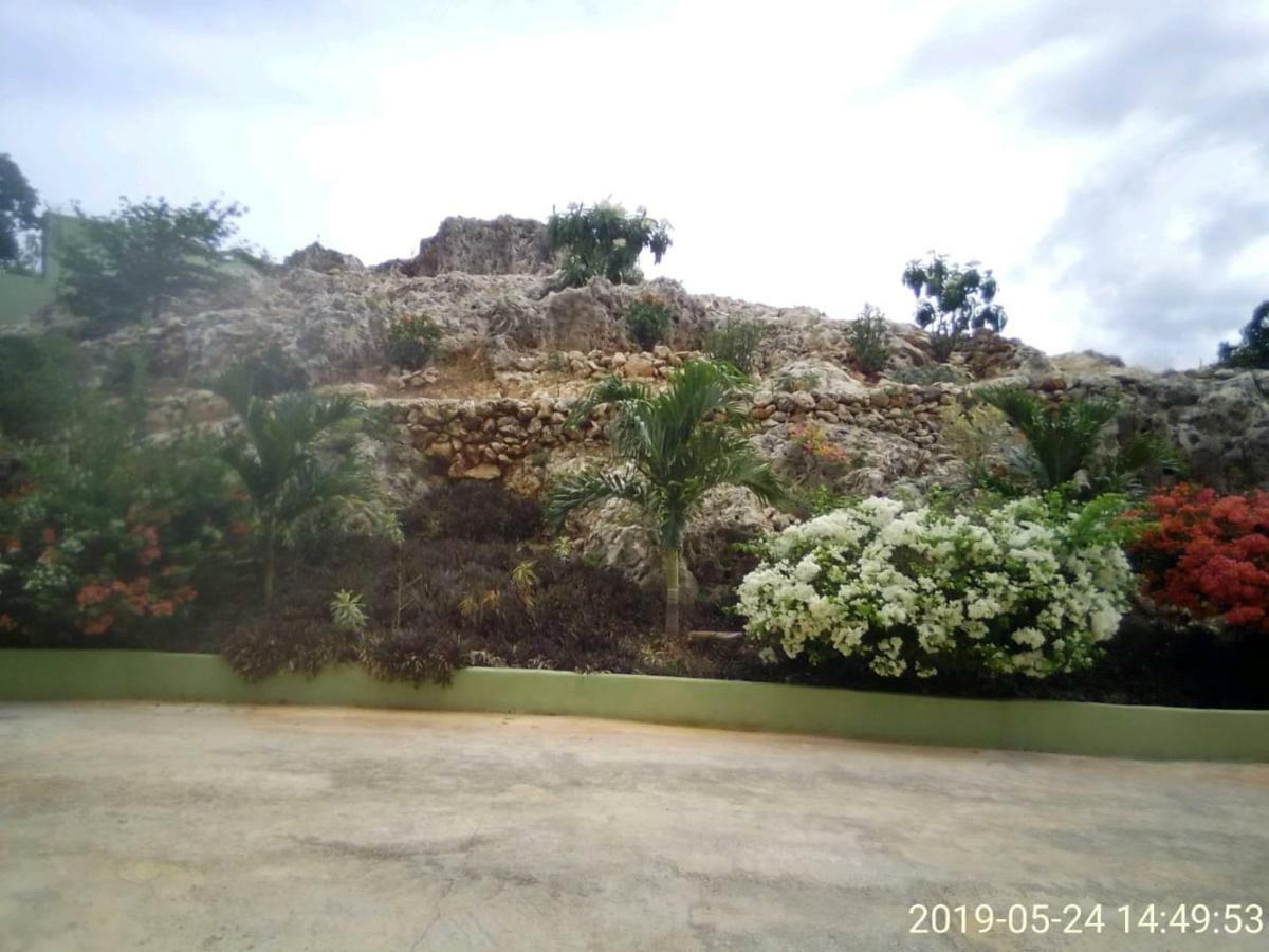 Eve'S Rockaway Villa Alligator Pond Exterior photo